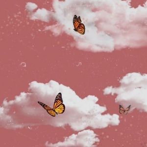 Meet your Posher, Clare